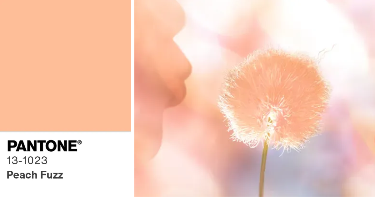 Pantone 2024年度代表色：柔和蜜桃